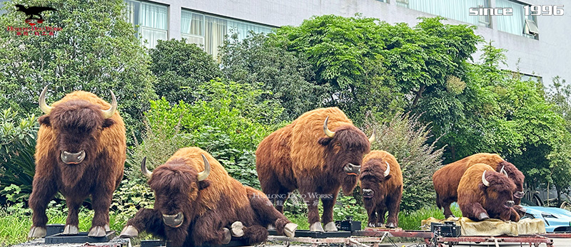 華龍藝術 定制仿真動物 野牛模型